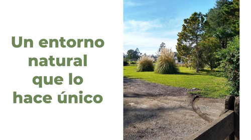 Imagen 5 de 6 de Venta De Terreno En Tandil | Lote En Ph