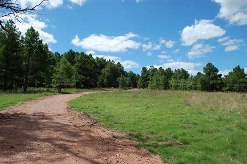 Venta Chacra Terreno Campo Lapataia Laguna Del Sauce Punta Del Este Maldonado