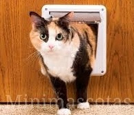 Imagen 5 de 5 de Puerta Abatible Para Gatitos O Perros Pequeños Talla Xl