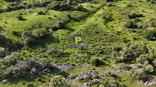 30 Hectáreas A 35 Km De San Carlos