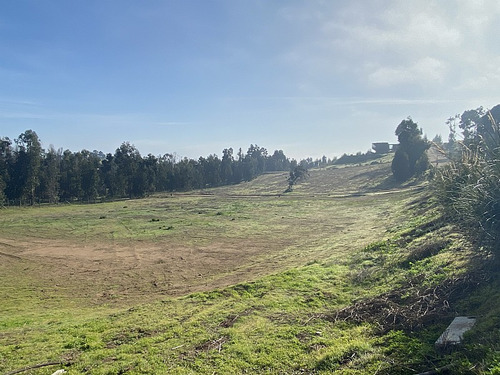 Condominio Campo Viejo, Maitencillo