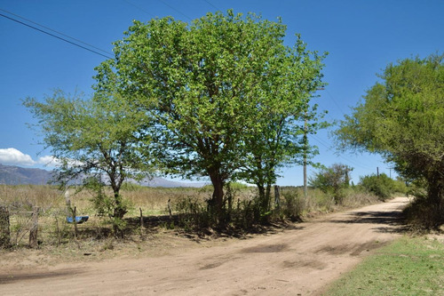 Imagen 13 de 22 de Loteo La Retirada - Cortaderas