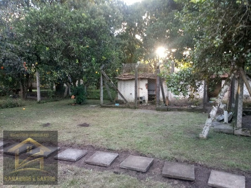 Imagem 27 de 30 de Ampla Residência Com 3 Casas E Terreno De 2.500 M² Em Quatro Barras - Ca00106 - 33862189