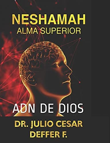 Neshamah Alma Superior: Adn De Dios Perspectiva Hebrea Vol 2