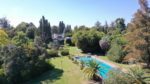 Campo - Villa Elisa
