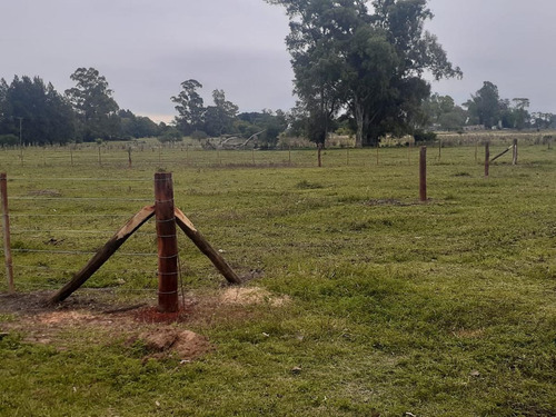 Imagen 11 de 14 de Venta Lote Terreno 3500mts En Exaltacion De La Cruz