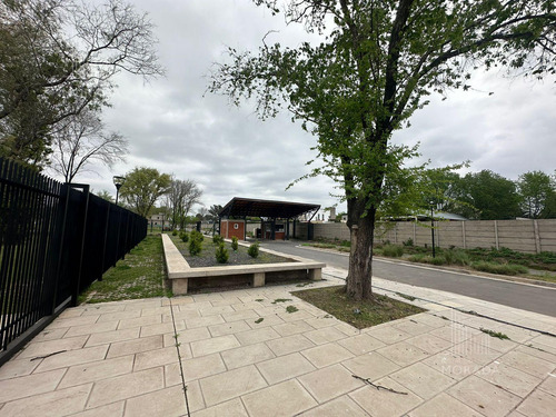 Venta Lote Financiación Avenida Olivos Y Panamericana Excelente Ubicación !!!