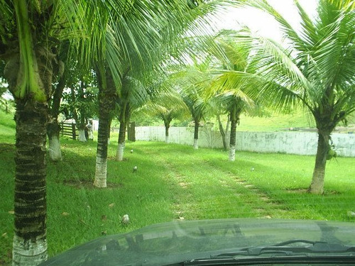 Fazenda À Venda Na Estrada De Sambaetiba, Centro (sambaetiba), Itaboraí - Rj - Liv-11669