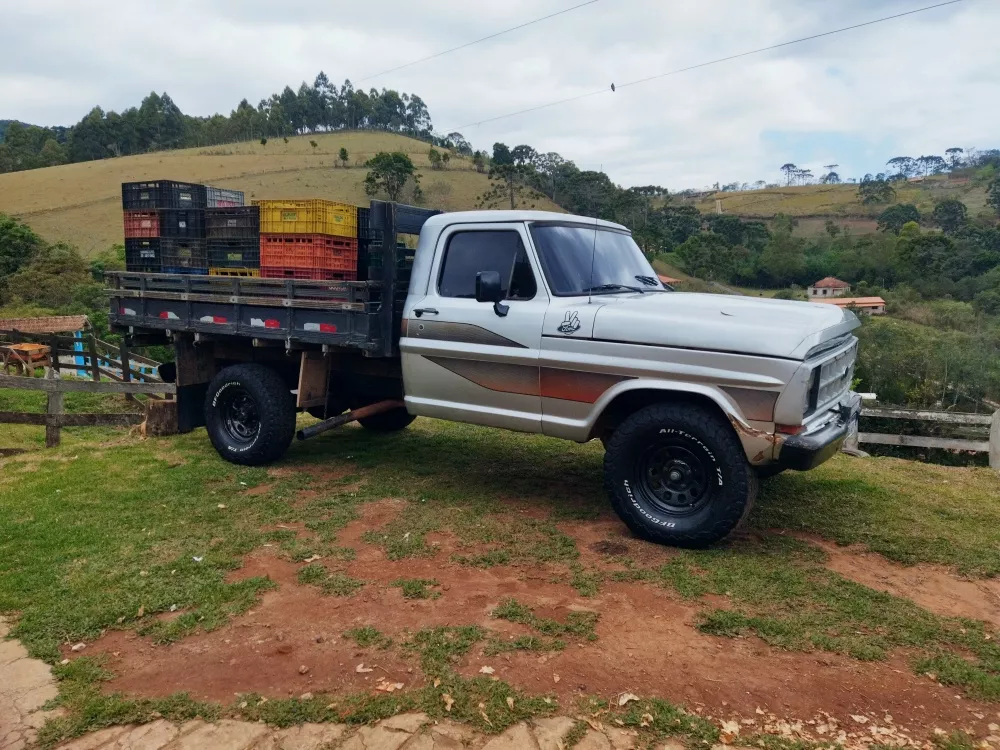 Ford F1000 3.9 L 2P