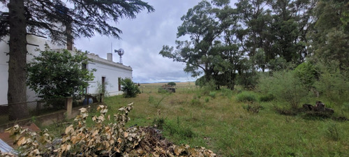 Alquiler Chacra 5 Dormitorios Sarandí Del Yi Con Cochera