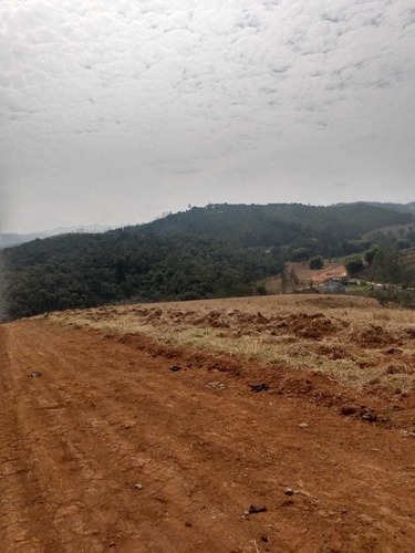 Imagem 10 de 10 de 08- Terreno De 10 Mil M2 Com Área De Preservação