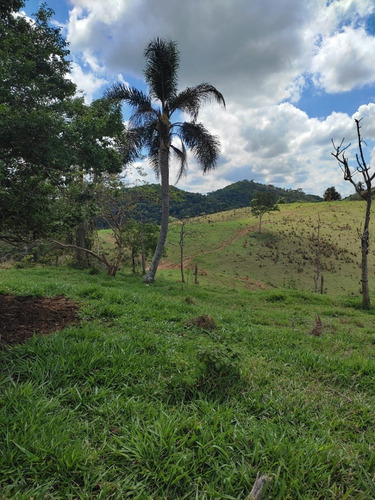Imagem 10 de 30 de 03o-terreno A Venda Em Igarata
