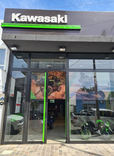 Imagen 11 de 16 de Kawasaki Z 650 Abs - 0km- 18 Cuotas Bbva