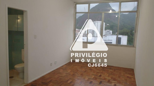 Apartamento Para Aluguel, 1 Quarto, Laranjeiras - Rio De Janeiro/rj - 29489