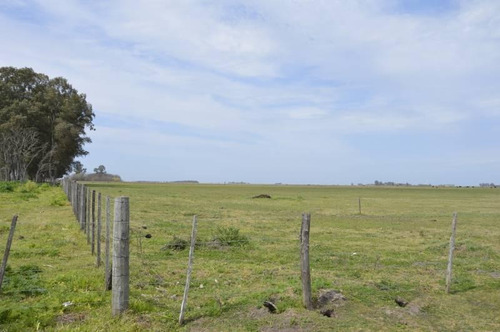 Imagen 4 de 12 de Se Vende - Excelente Campo 84 Has. Mixtas - General Belgrano