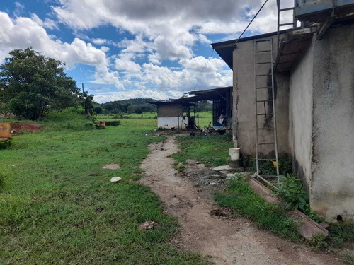 Imagen 25 de 30 de Finca En Guigue, 35 Hectareas. 5610462