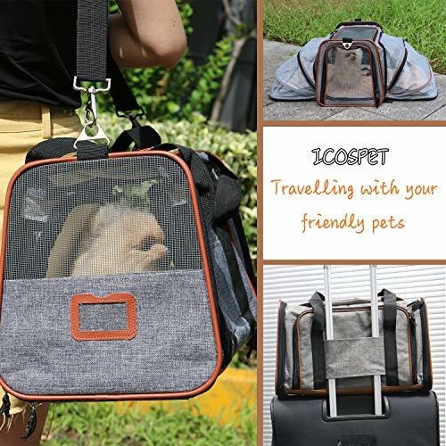 Portador De Mascotas Para Gatos Perros Pequeños Ampliable