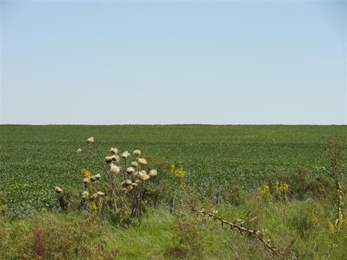 Campo En Venta En Solís De Mataojo