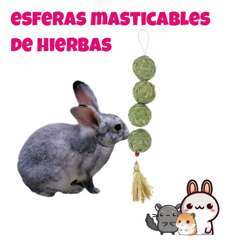 Juguete Colgante Masticable Conejo, Cuyo, Chinchilla Color Verde claro