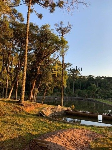 Imagem 7 de 12 de Chácara Para Venda - 5797
