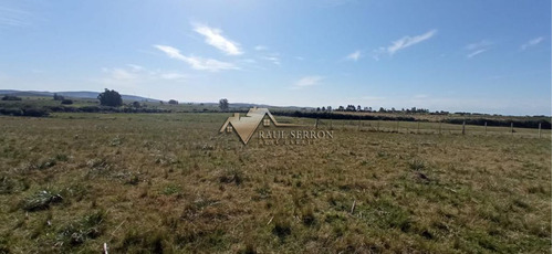 Imagen 14 de 30 de En Venta Chacra De 7,5 Has Con Casa, Ruta 39 - Maldonado Ruta 39