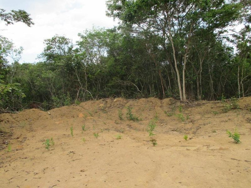 Imagem 7 de 15 de Terreno Para Venda Em Esmeraldas, Floresta Encantada - T23_1-1019445