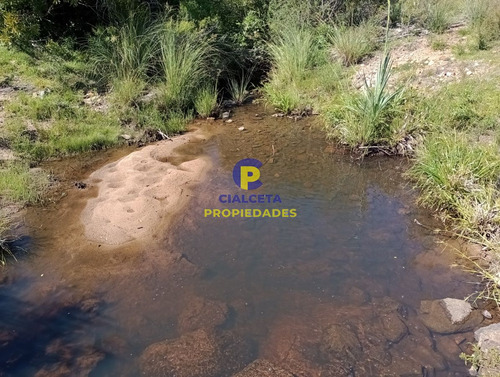 Imagen 11 de 12 de 10 Hectáreas En Las Cañas