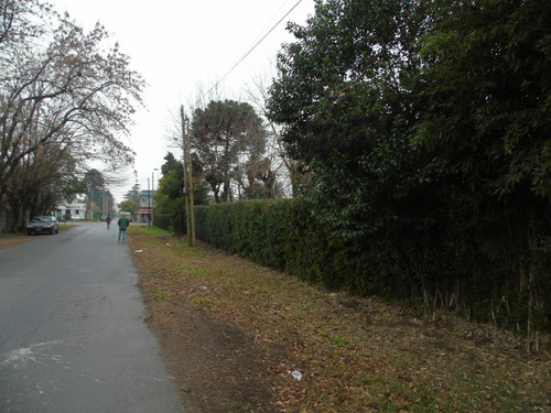 Imagen 3 de 15 de Terreno En Venta En Gonnet Calle 504 E/ Camino Belgrano Y 23 - Dacal Bienes Raices