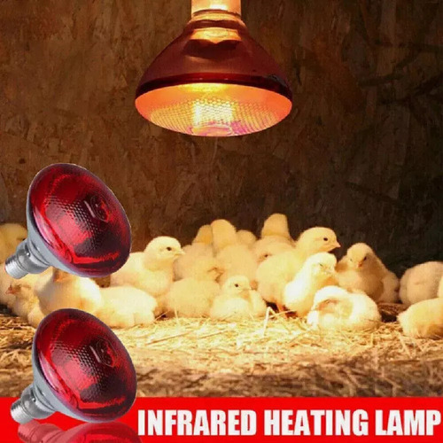 . Lámpara Infrarroja Con Bombilla De Calor Para Aves