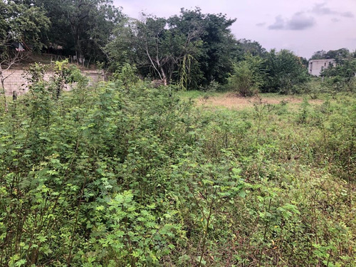 Imagen 7 de 14 de Terreno - San Juan Bautista Tuxtepec