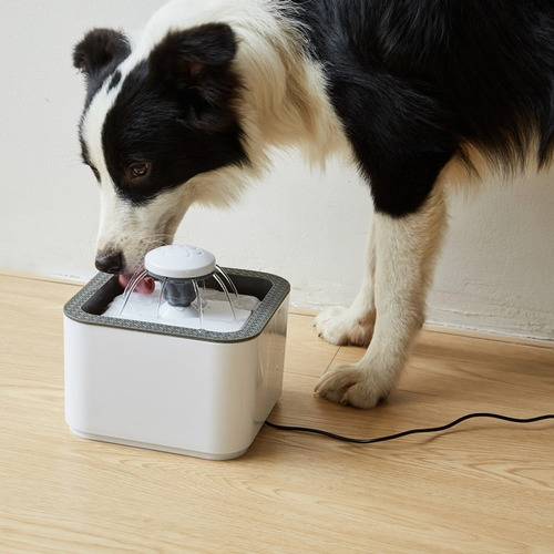 Bebedero Dispensado Fuente Eléctrica Agua Mascota Perro Gato