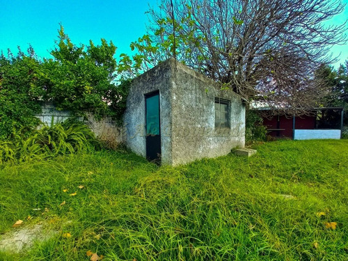 Imagen 14 de 17 de En Venta - Impecable Casa 3 Dorm 2 Baños