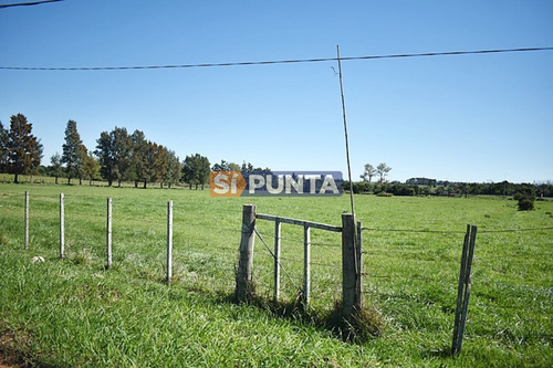 Imagen 10 de 19 de Chacra San Carlos Ruta 9
