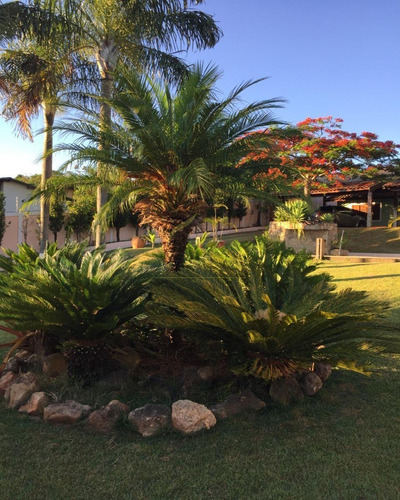 Imagem 19 de 30 de Chácara A Venda Na Estancia Santa Helena Em Jarinu Sp - Ch00047 - 68754917