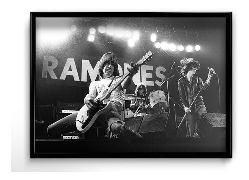 Cuadro The Ramones Punk M5 20x30 (marco+lámina+vidrio)