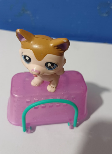 Juguetes Littlest Pet Shop Por 5 Unidades Colección (Usado)
