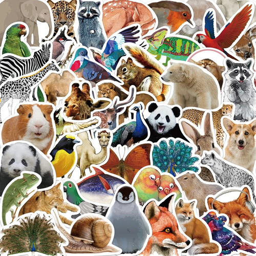 50 Pegatinas De Animales Salvajes De Jungle Zoo Para Niños,