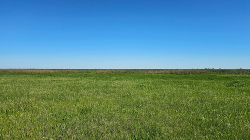 Se Vende Isla Entre Rios Sobre Arroyo Tigre