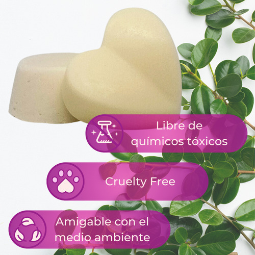 Shampoo Y Acondicionador Solido Jabonera Natural Organico Pelo Seco/rulos