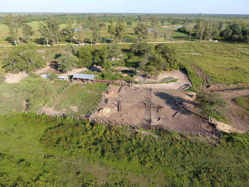 Imagen 6 de 8 de Campo En Formosa Argentina Agricola Ganadero Desmonte