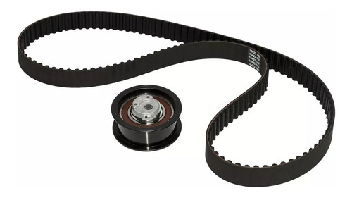 Imagen 1 de 5 de Kit De Distribucion Original Skf Transpor 96/02 Diesel