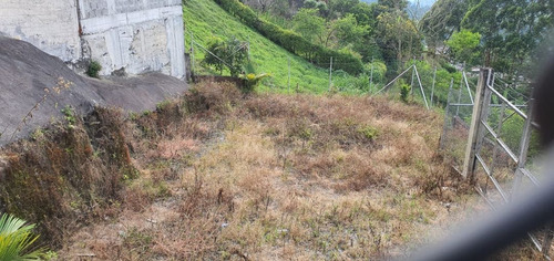 Vendo Lote Por El Parque Principal De Palestina, Caldas