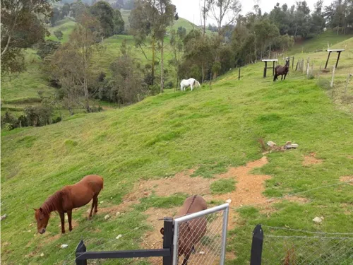 Finca En Vender En Medellín