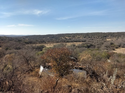 Imagen 3 de 17 de Campo De 100 Hectareas Con Casa En Tulumba, Provincia De Cordoba