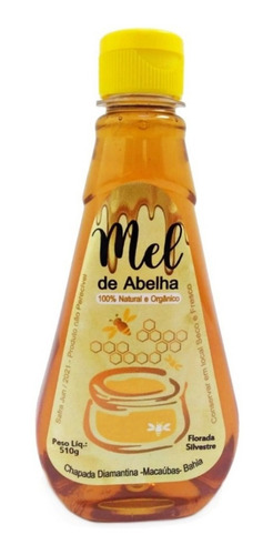 Imagem 2 de 7 de Mel De Abelha Puro Da Chapada Diamantina-ba 510gr Caixa C/12