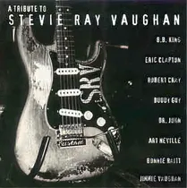 Comprar CD Un tributo a Stevie Ray Vaughan