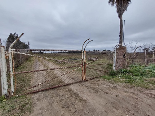 Imagen 6 de 16 de Excelente Campo /chacra De 12ha.