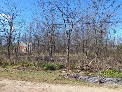 Imagen 2 de 7 de Hermoso Lote En Los Pinos