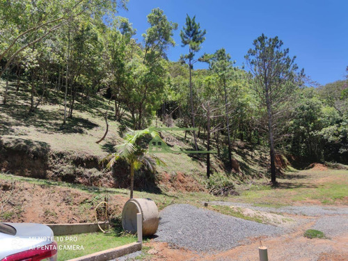 Imagem 14 de 22 de Sítio Com 3 Dormitórios À Venda, 73000 M² Por R$ 685.000,00 - Bairro Do Pires - Piedade/sp - Si0179