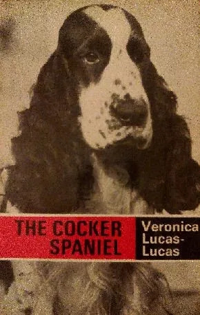 Veronica Lucas-lucas: The Cocker Spaniel